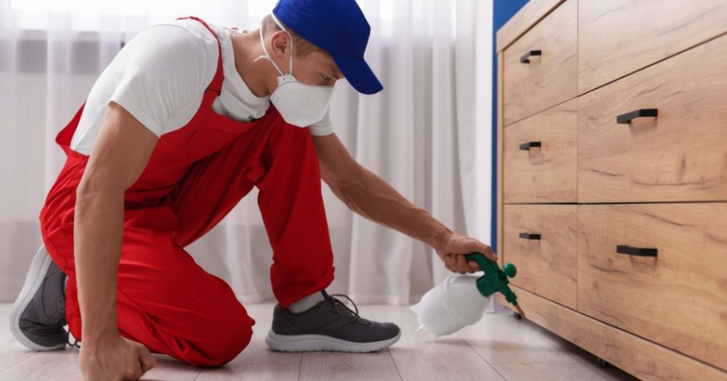 capa dedetizacao em Joinville